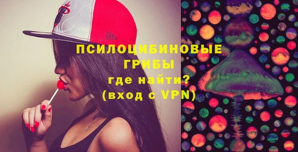 мдпв Богданович