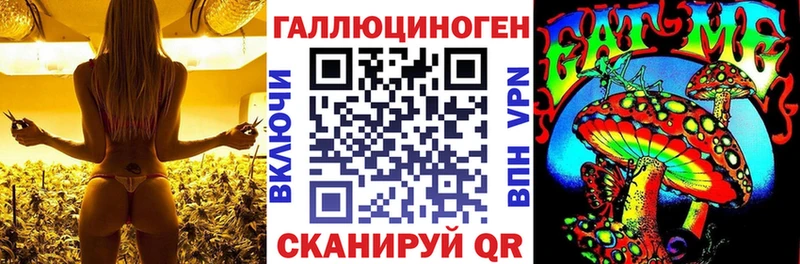 ссылка на мегу вход  даркнет какой сайт  Галлюциногенные грибы Psilocybine cubensis  купить наркоту  Нарьян-Мар 